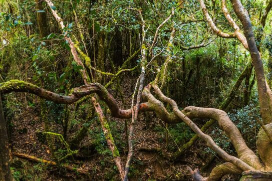 A sanctuary of biodiversity