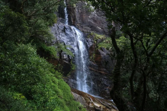 A lifeline for the region: Pidurutalagala as a watershed
