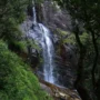 A lifeline for the region: Pidurutalagala as a watershed